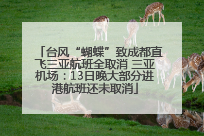 台风“蝴蝶”致成都直飞三亚航班全取消 三亚机场：13日晚大部分进港航班还未取消