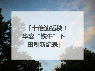 十倍速插秧！华容“铁牛”下田刷新纪录