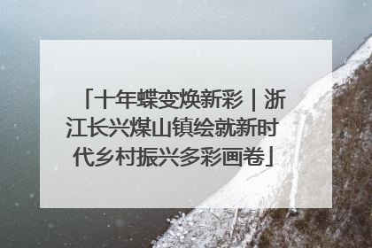 十年蝶变焕新彩｜浙江长兴煤山镇绘就新时代乡村振兴多彩画卷