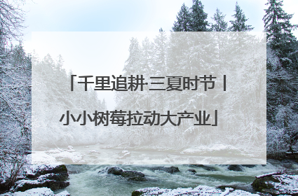 千里追耕·三夏时节丨小小树莓拉动大产业