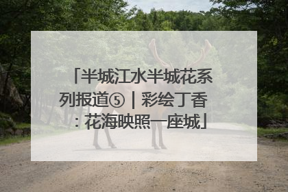半城江水半城花系列报道⑤｜彩绘丁香：花海映照一座城