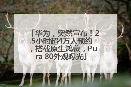 华为，突然宣布！2.5小时超4万人预约，搭载原生鸿蒙，Pura 80外观曝光