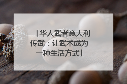 华人武者意大利传武：让武术成为一种生活方式