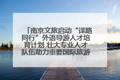 南京文旅启动“译路同行”外语导游人才培育计划 壮大专业人才队伍助力重要国际旅游目的地建设
