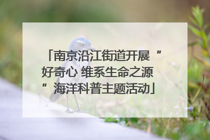 南京沿江街道开展“好奇心 维系生命之源”海洋科普主题活动