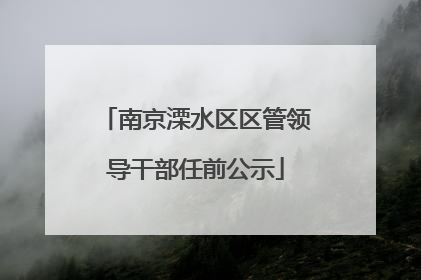 南京溧水区区管领导干部任前公示