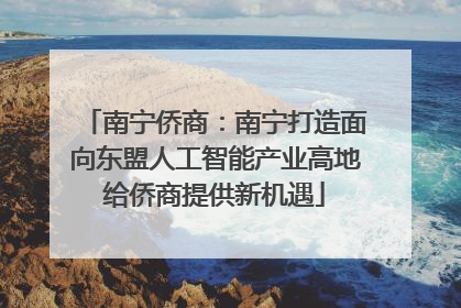 南宁侨商：南宁打造面向东盟人工智能产业高地给侨商提供新机遇