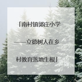 南村镇郭庄小学——立德树人在乡村教育落地生根