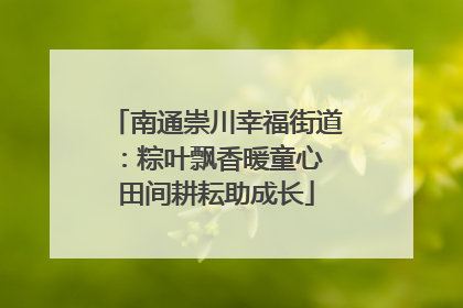 南通崇川幸福街道：粽叶飘香暖童心 田间耕耘助成长