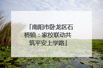 南阳市卧龙区石桥镇：家校联动共筑平安上学路