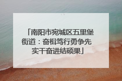 南阳市宛城区五里堡街道：奋楫笃行勇争先 实干奋进结硕果