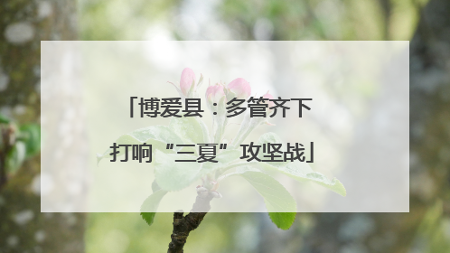 博爱县：多管齐下 打响“三夏”攻坚战