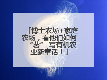 博士农场+家庭农场，看他们如何“薯” 写有机农业新童话！