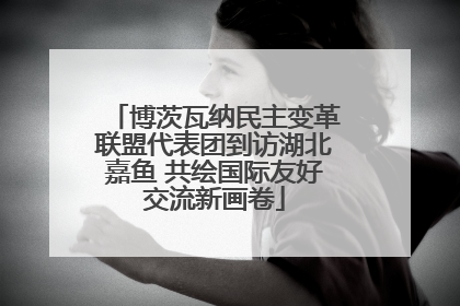 博茨瓦纳民主变革联盟代表团到访湖北嘉鱼 共绘国际友好交流新画卷