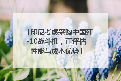 印尼考虑采购中国歼-10战斗机，正评估性能与成本优势