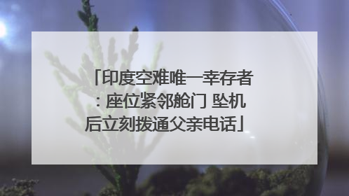 印度空难唯一幸存者：座位紧邻舱门 坠机后立刻拨通父亲电话