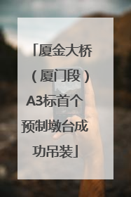 厦金大桥（厦门段）A3标首个预制墩台成功吊装