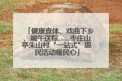 健康查体、戏曲下乡、端午送粽……枣庄山亭朱山村“一站式”惠民活动暖民心