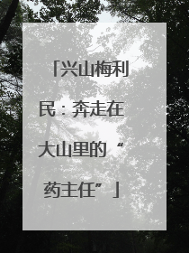 兴山梅利民：奔走在大山里的“药主任”