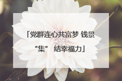 党群连心共富梦 钱景 “集” 结幸福力