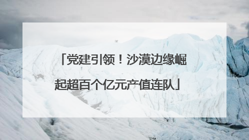 党建引领！沙漠边缘崛起超百个亿元产值连队