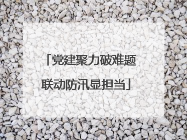 党建聚力破难题 联动防汛显担当