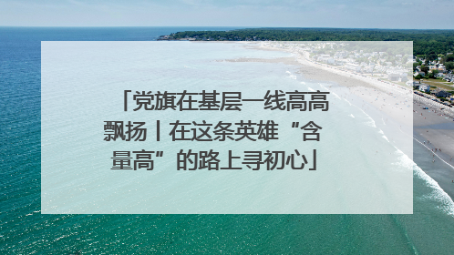 党旗在基层一线高高飘扬丨在这条英雄“含量高”的路上寻初心