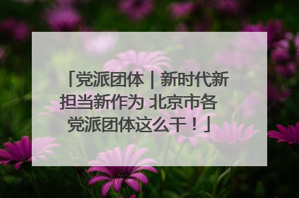 党派团体｜新时代新担当新作为 北京市各党派团体这么干！
