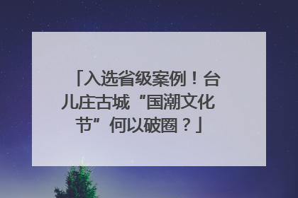 入选省级案例！台儿庄古城“国潮文化节”何以破圈？