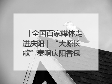 全国百家媒体走进庆阳｜“大塬长歌”奏响庆阳香包民俗文化节序曲