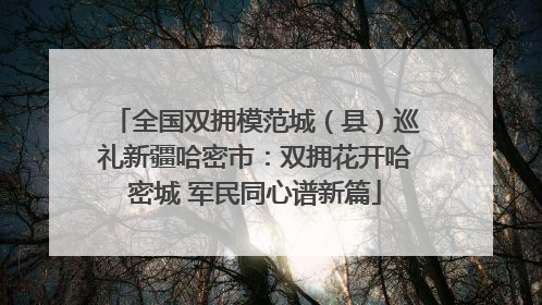 全国双拥模范城（县）巡礼新疆哈密市：双拥花开哈密城 军民同心谱新篇