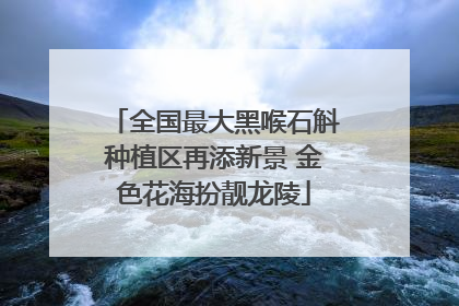 全国最大黑喉石斛种植区再添新景 金色花海扮靓龙陵