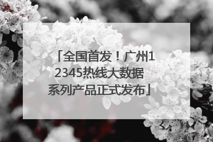 全国首发！广州12345热线大数据系列产品正式发布
