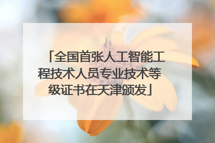 全国首张人工智能工程技术人员专业技术等级证书在天津颁发