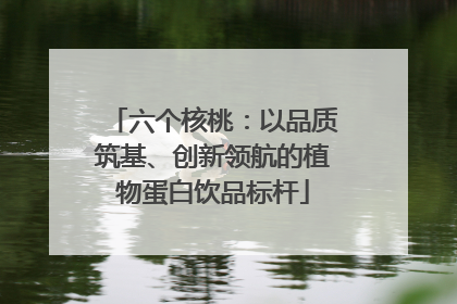 六个核桃：以品质筑基、创新领航的植物蛋白饮品标杆