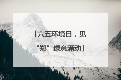 六五环境日，见“郑”绿意涌动