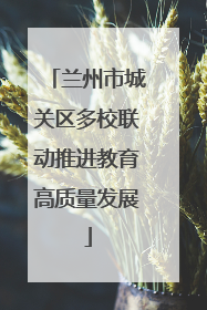 兰州市城关区多校联动推进教育高质量发展