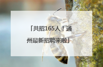 共招165人！通州最新招聘来啦