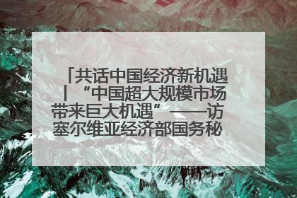 共话中国经济新机遇丨“中国超大规模市场带来巨大机遇”——访塞尔维亚经济部国务秘书尼科利奇