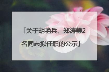 关于胡艳兵、郑涛等2名同志拟任职的公示