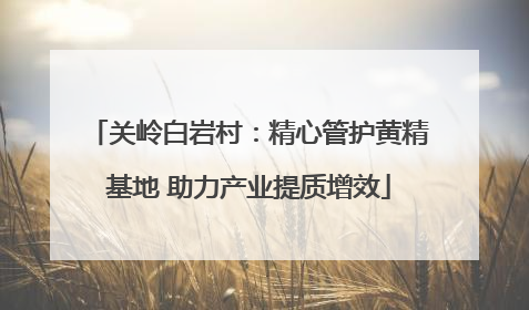 关岭白岩村：精心管护黄精基地 助力产业提质增效