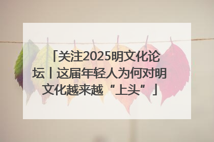 关注2025明文化论坛丨这届年轻人为何对明文化越来越“上头”