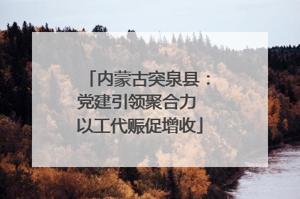 内蒙古突泉县：党建引领聚合力 以工代赈促增收