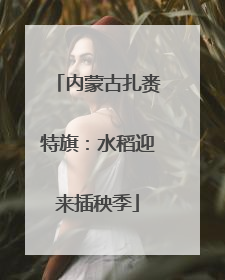 内蒙古扎赉特旗：水稻迎来插秧季