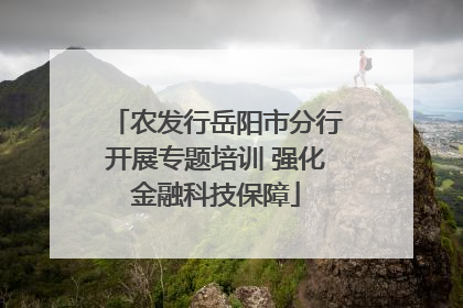 农发行岳阳市分行开展专题培训 强化金融科技保障