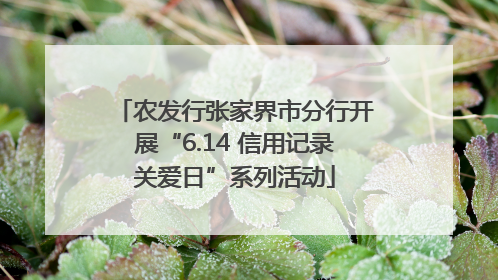 农发行张家界市分行开展“6.14 信用记录关爱日”系列活动