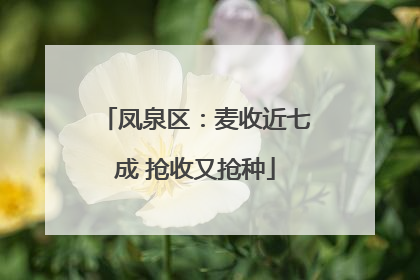 凤泉区：麦收近七成 抢收又抢种