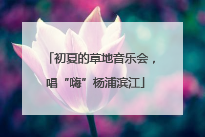 初夏的草地音乐会，唱“嗨”杨浦滨江
