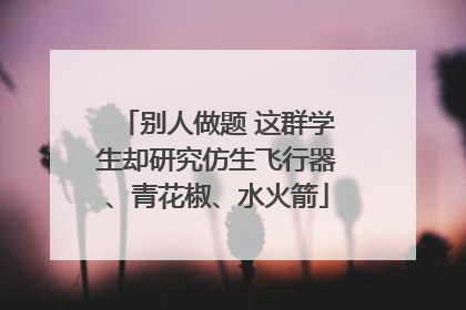 别人做题 这群学生却研究仿生飞行器、青花椒、水火箭