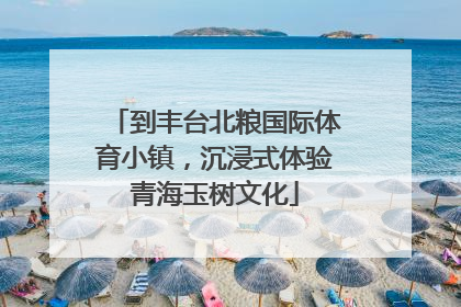 到丰台北粮国际体育小镇，沉浸式体验青海玉树文化